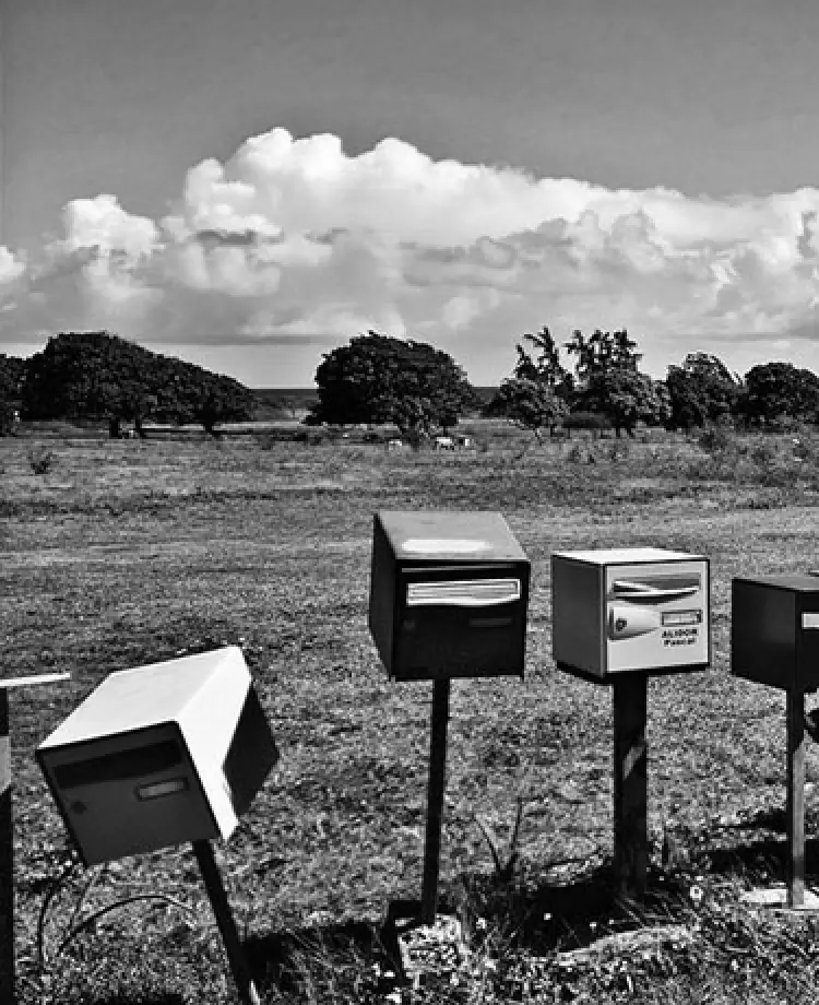 野原にたくさんの郵便受けが立っている様子