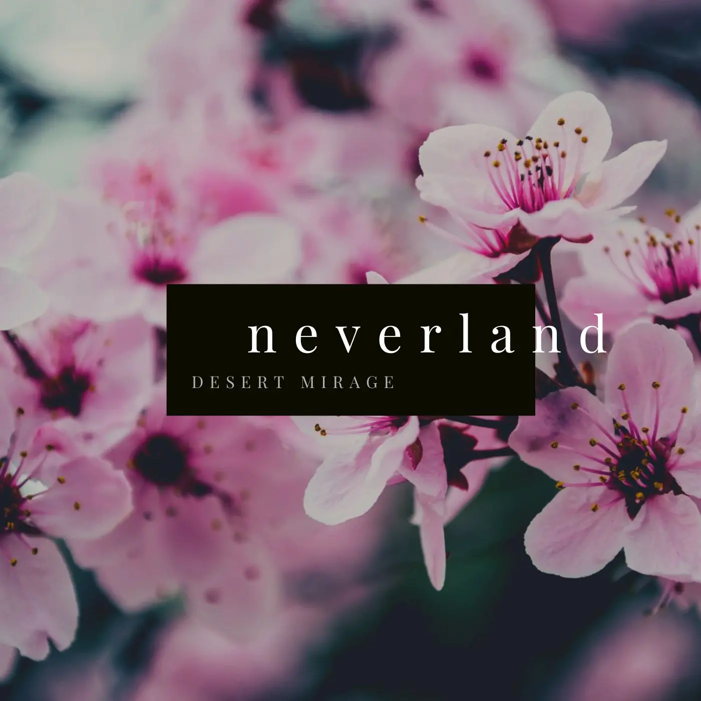 neverland